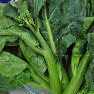 �ЋD�ܳԽ��{����