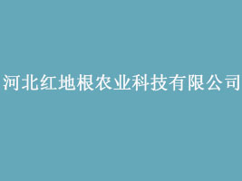 �ӱ��t�ظ��r�I�Ƽ����޹�˾