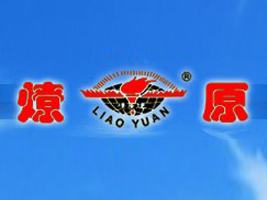 ��ԭ��I����؟�ι�˾