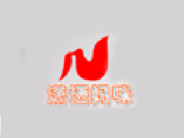 ���ݞt�������������޹�˾