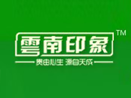 ����ӡ�󽡿��a�IͶ�Y�lչ���޹�˾