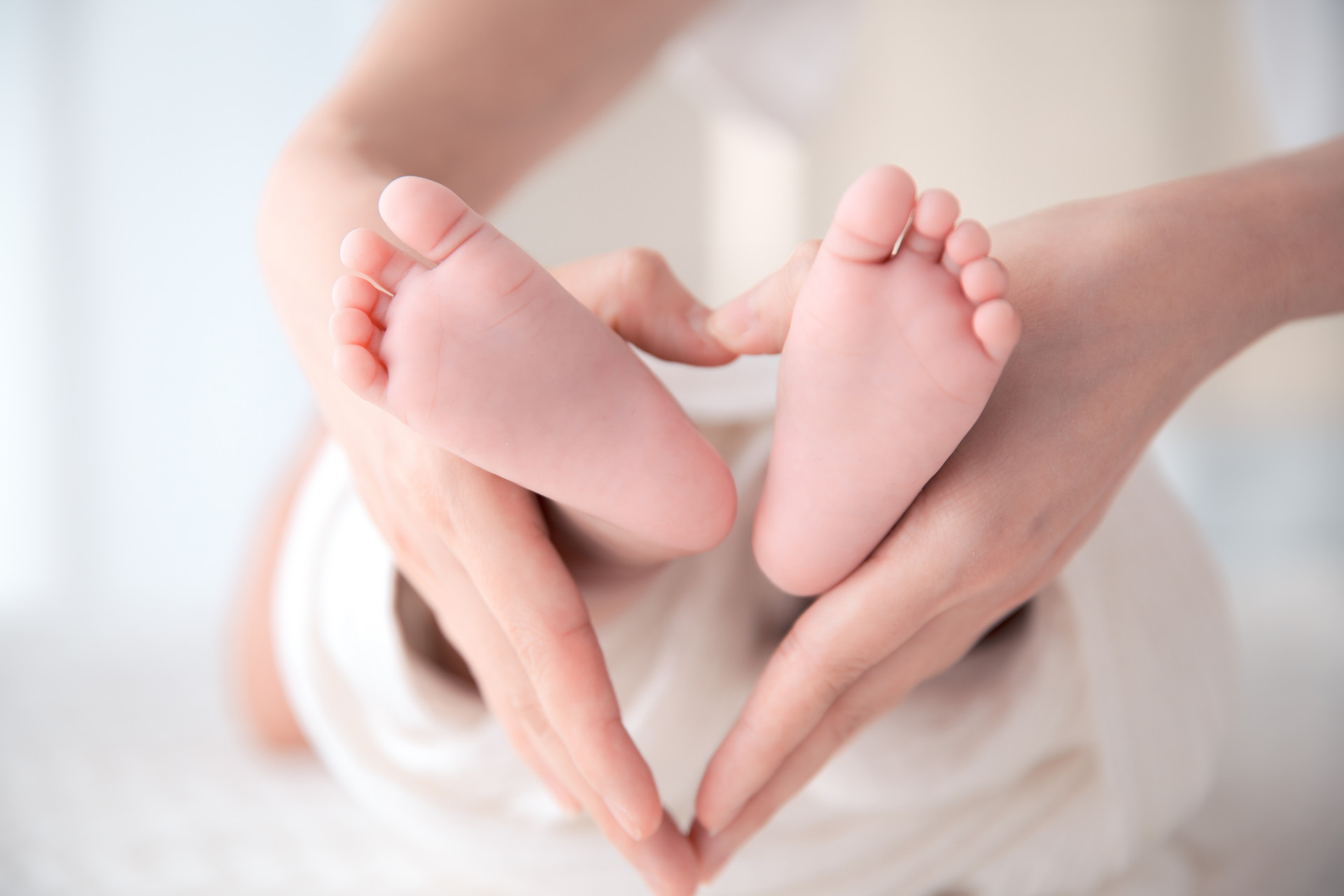 �z������ʷ���Ћ������ڮa�z����Ҫ����۟o��DNA�z�y