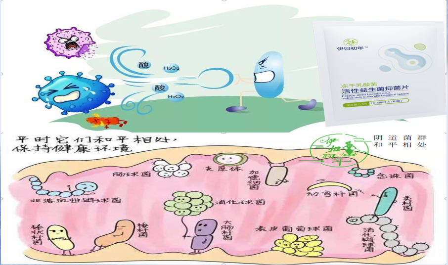 �������������Ů��˽̎΢���Bƽ��