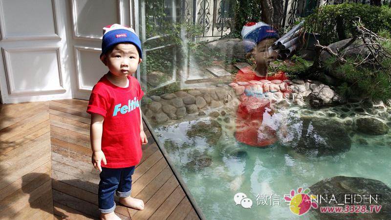 �n��С����̫�����ȡ�����һ����ܰ���&�۵����{ɫ����һ�ӵľ���