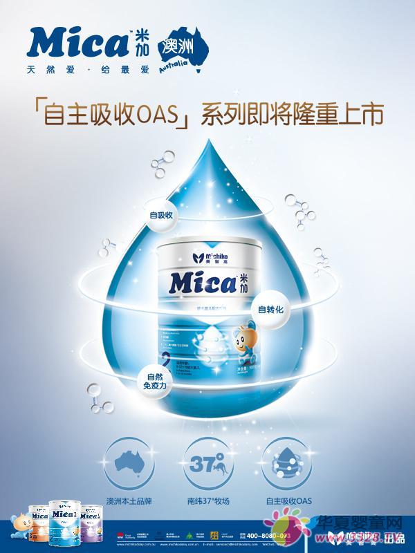 Mica�׼��˽⌚���I�B���������Ƴ���������OAS�䷽