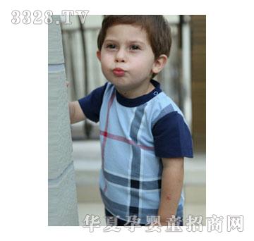 ������0-5�q���׃��Ќ����A�IT��22A215B