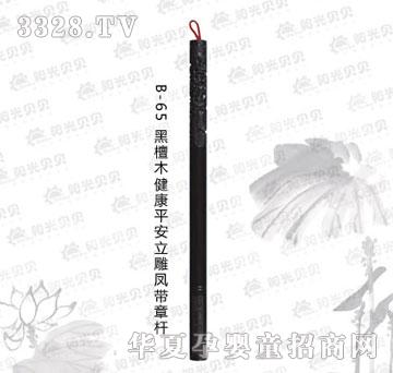 ꖹ�ؐؐB-65��̴ľ����ƽ�������P���U