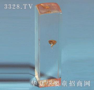 �����Ƽ����T����