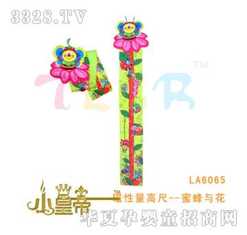 ��A�A���������߳�--�۷��c��LA6065