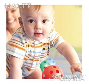 ����ؐ���ˇ�g�n�̌W��