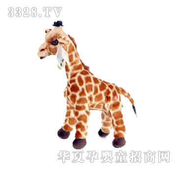 ���xë�q�L(zh��ng)�i¹�������L(zh��ng)�i¹