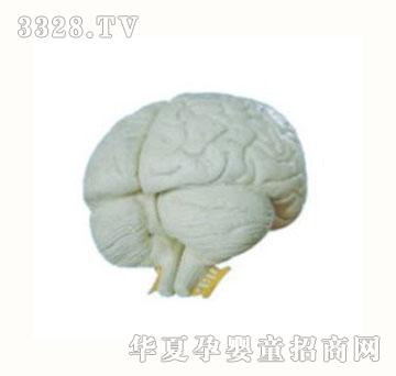 ��|�X��ģ��