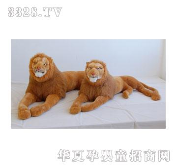 ̩���Ứ���P�{��