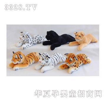 ̩��35CMſ�����{