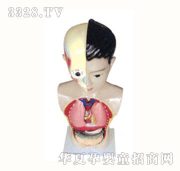 �_�Ĉ@���w����ģ��JWJ-9315A