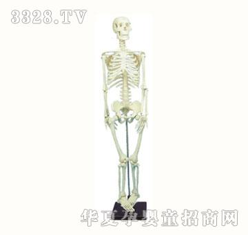 �_�Ĉ@���w����ģ��JWJ-9315G
