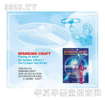 ���������w�C313