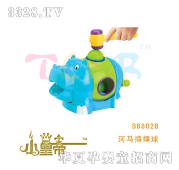 ��A�A�����R������B88028