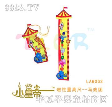 ��A�A���������߳�--�R��FLA6063