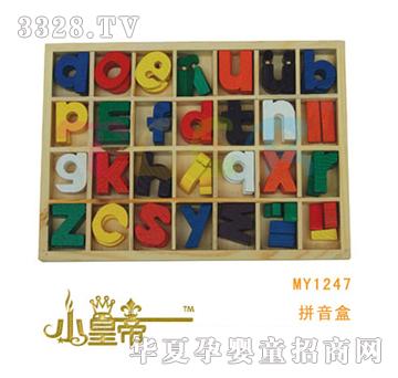 ��A�A��ƴ����MY1247
