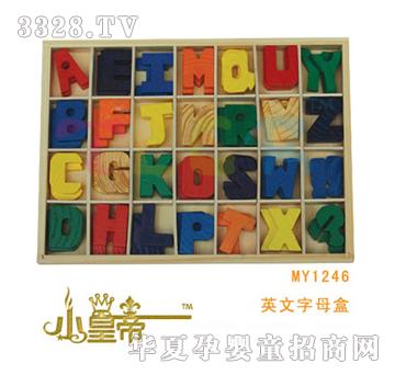 ��A�A��Ӣ����ĸ��MY1246