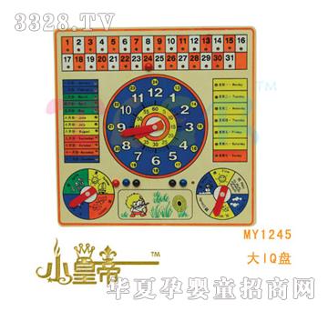 ��A�A����IQ�PMY1245