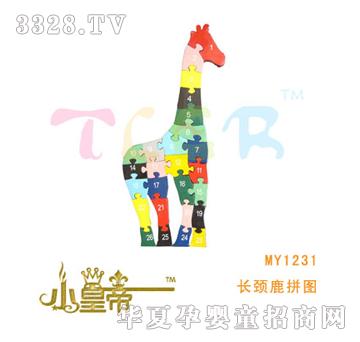 ��A�A���L�i¹ƴ�DMY1231