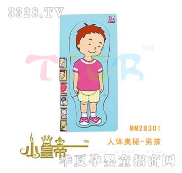 ��A�A�����w�W��-�к�MM28301