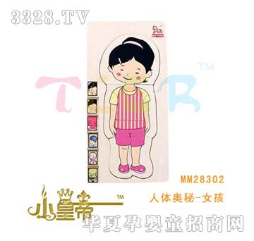 ��A�A�����w�W��-Ů��MM28302