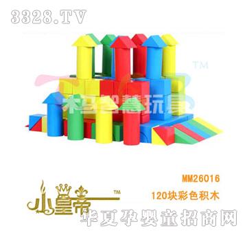 ��A�A��120�K��ɫ�eľMM26016