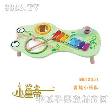 ��A�A������С���MM12651