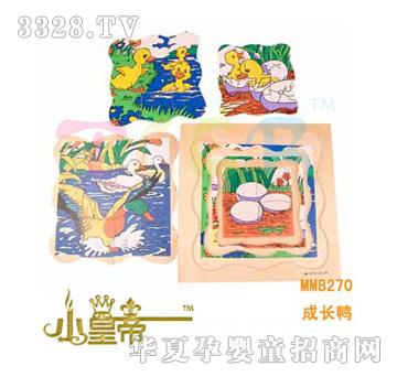 ��A�A�����L��MM20270