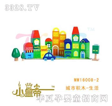 ��A�A�����зeľ-����MM16008-2