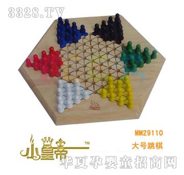 ��A�A����̖����MM29110