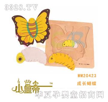 ��A�A�����L����MM20423
