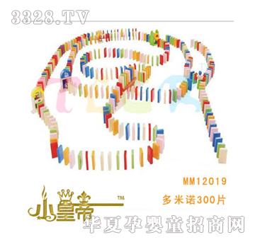 ��A�A�������Z300ƬMM12019