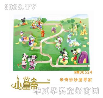 ��A�A�����������݌���MMD0524