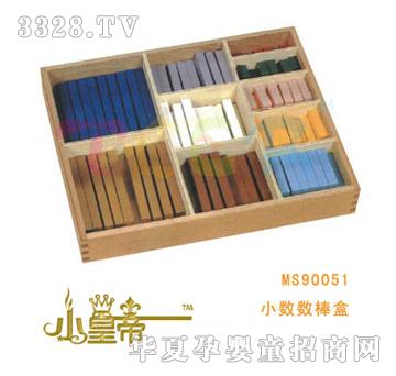 ��A�A��С��������MS90051