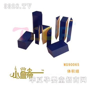 ��A�A���w�e�MMS90065