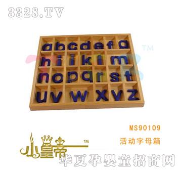 ��A�A�������ĸ��MS90109