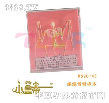 ��(m��ng)�A�A��(m��ng)���������(bi��o)��MS90145