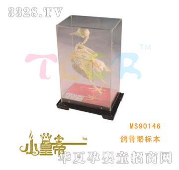 ��(m��ng)�A�A��(m��ng)��������(bi��o)��MS90146