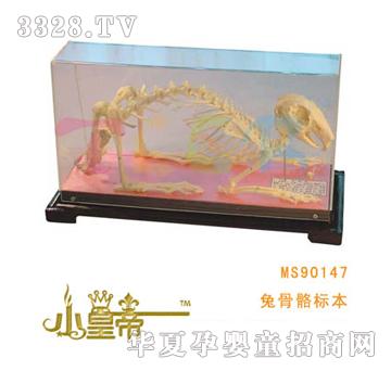 ��(m��ng)�A�A��(m��ng)�ù�����(bi��o)��MS90147