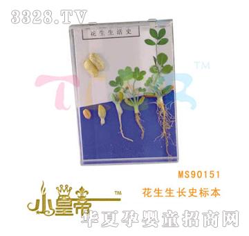 ��(m��ng)�A�A��(m��ng)�������L(zh��ng)ʷ��(bi��o)��MS90151