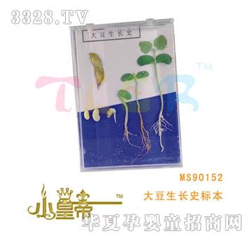 ��(m��ng)�A�A��(m��ng)�����L(zh��ng)ʷ��(bi��o)��MS90152