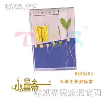 ��(m��ng)�A�A��(m��ng)�������L(zh��ng)ʷ��(bi��o)��MS90153