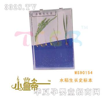 ��(m��ng)�A�A��(m��ng)ˮ�����L(zh��ng)ʷ��(bi��o)��MS90154