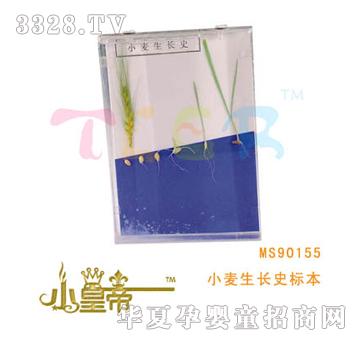 ��(m��ng)�A�A��(m��ng)С�����L(zh��ng)ʷ��(bi��o)��MS90155
