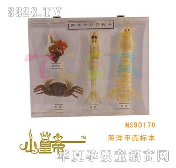 ��(m��ng)�A�A��(m��ng)����ך���(bi��o)��MS90170
