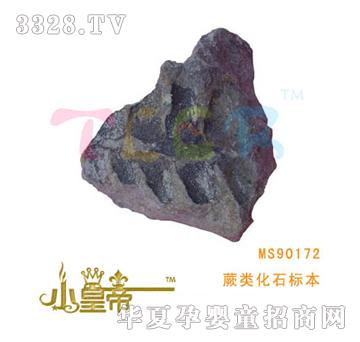 ��(m��ng)�A�A��(m��ng)ާ�ʯ��(bi��o)��MS90172